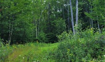 Lot # 19 Brush Hollow Road, Bovina, NY 13740