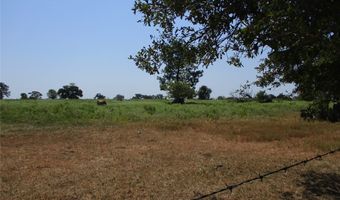 Rains County Road 2360, Alba, TX 75410