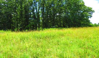 County Road 105, Ava, MO 65608