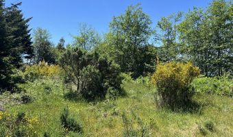 Eastwood, Brookings, OR 97415
