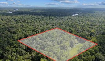 0000 73rd Way, Bell, FL 32619