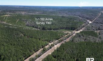 Robinsonville Road, Atmore, AL 36502
