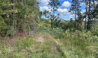 60 Ac Shannon Rd, Blackstock, SC 29014