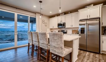 2867 Marsh Hawk Way, Brighton, CO 80601