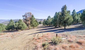 1518 Alba Vista Lot 1518 Alba Vis, Gardnerville, NV 89410