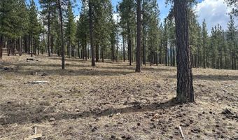 31760 HWY 10 W, Alberton, MT 59820