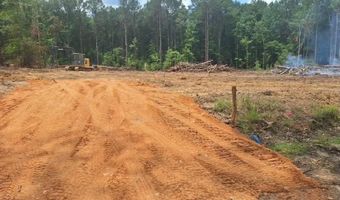 709 Old Pinola Braxton Rd, Braxton, MS 39044