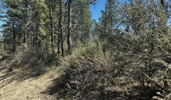 Jaguar Lane lot 3, Bonanza, OR 97623