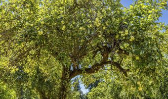 23851 SCHULTZ Rd NE, Aurora, OR 97002