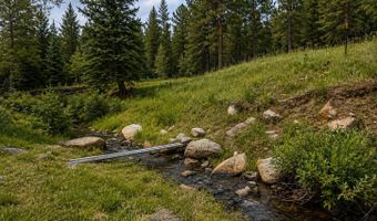 TBD County Road 59, Allenspark, CO 80510