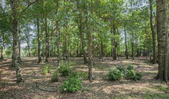 151 Mockingbird Ln, Atmore, AL 36502