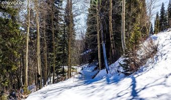944 Roberts Rd, Alma, CO 80420