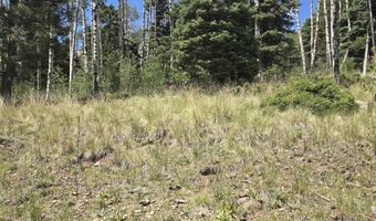 Plesant Valley lot 1302, Angel Fire, NM 87710