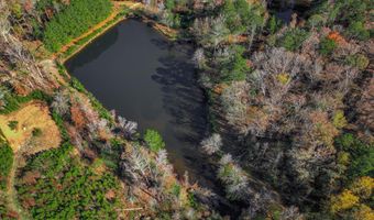 7501 Rainey Morris Rd, Appling, GA 30802