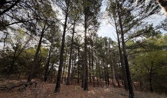 2548 County Road 2690, Alvord, TX 76225