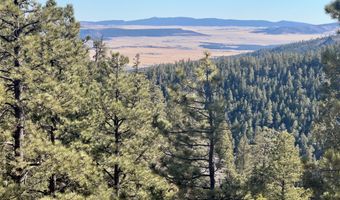 705 NM-120, Angel Fire, NM 87710