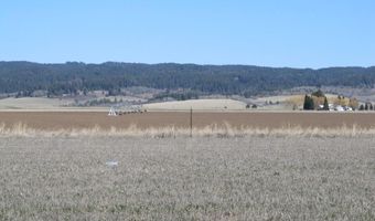 3665 E 1337 N, Ashton, ID 83420