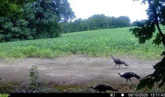 9891 Baskerville Rd, Baskerville, VA 23915