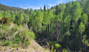 Braffits Creek Lot 61 & 62, Brian Head, UT 84719