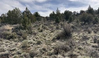 HWY 140, Beatty, OR 97621