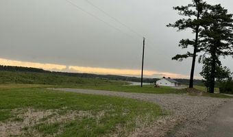 0 Otis Paine Rd, Bethel Springs, TN 38315