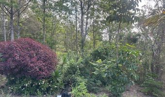 92-8424 KING KAMEHAMEHA Blvd, Ocean View, HI 96737