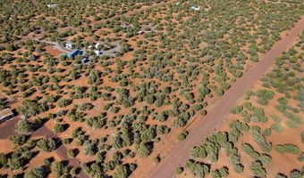 233 Co, Concho, AZ 85924