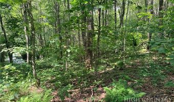Chestnut Mountain Road, Banner Elk, NC 28604