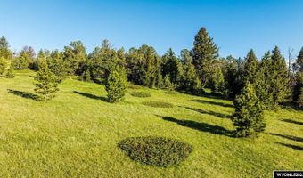 22 High Meadow Rd, Buffalo, WY 82834