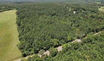 Hwy 21E, Alto, TX 75925