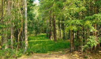 Trickhambridge Road lot 7, Brandon, MS 39042