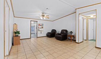 1719 NW 62ND Pl, Bell, FL 32619