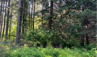 West Tunnel, Banks, OR 97106