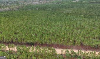 Penny Morris Road, Baxley, GA 31513