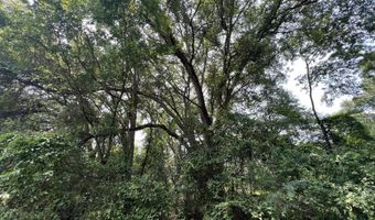 Rocky Creek Road, Ashford, AL 36312