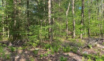 99 ACRE ROCK Ldg, Accident, MD 21520