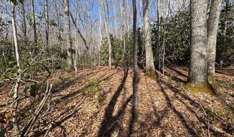 Brookstone Road lot 3, Bastian, VA 24314