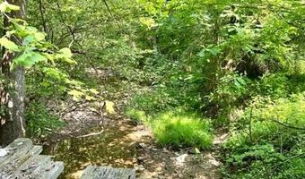 Coperas Cave Branch, Beattyville, KY 41311