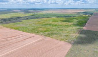 CR 260, Anson, TX 79501