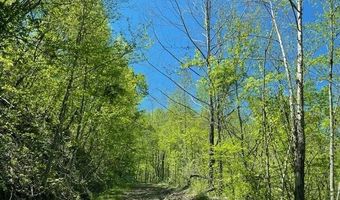 9999 Hooker Branch Rd, Barbourville, KY 40906