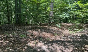 Sunny Court, Baneberry, TN 37890