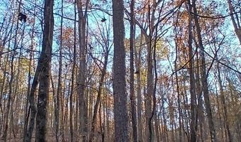 BLACKJACK ROAD lot 0, Argo, AL 35173