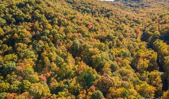 99999 Harwood Rd, Barnardsville, NC 28709