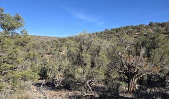 446 Arizona Rd, Ash Fork, AZ 86320