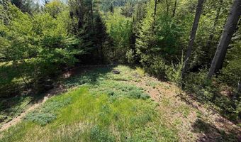 83 Tabor Cir, Albany, NH 03818