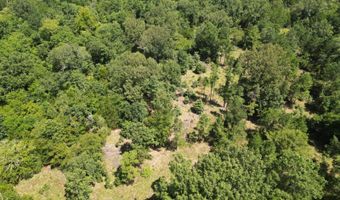 80 N4130 Rd, Antlers, OK 74523