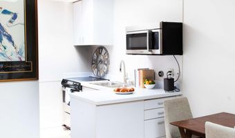 210 E Cooper Ave 3E, Aspen, CO 81611