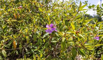 15-925 LEMIWAI Rd, Keaau, HI 96749