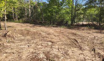 Anding Oil City Road, Bentonia, MS 39040