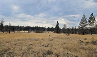 Parazoo Trail Lot 15, Bly, OR 97622